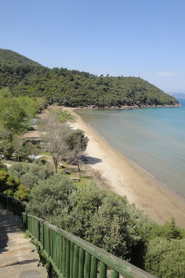 Güzelçamlı